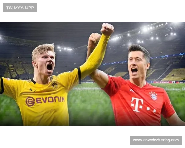 德甲严打非法售票，保障球迷权益